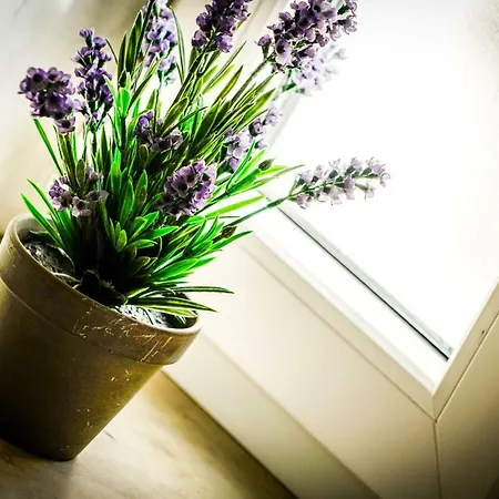 One Bedroom Milena شقة *